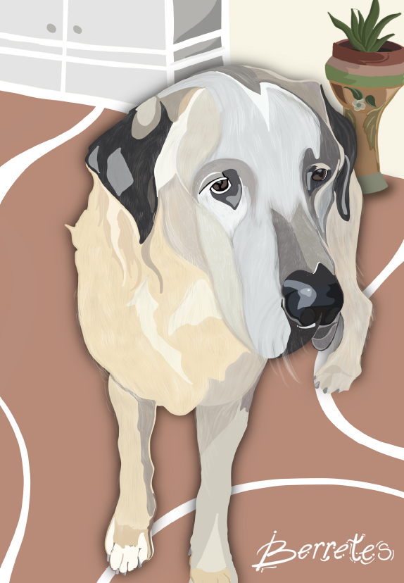 mawicreative ilustraciones digitales